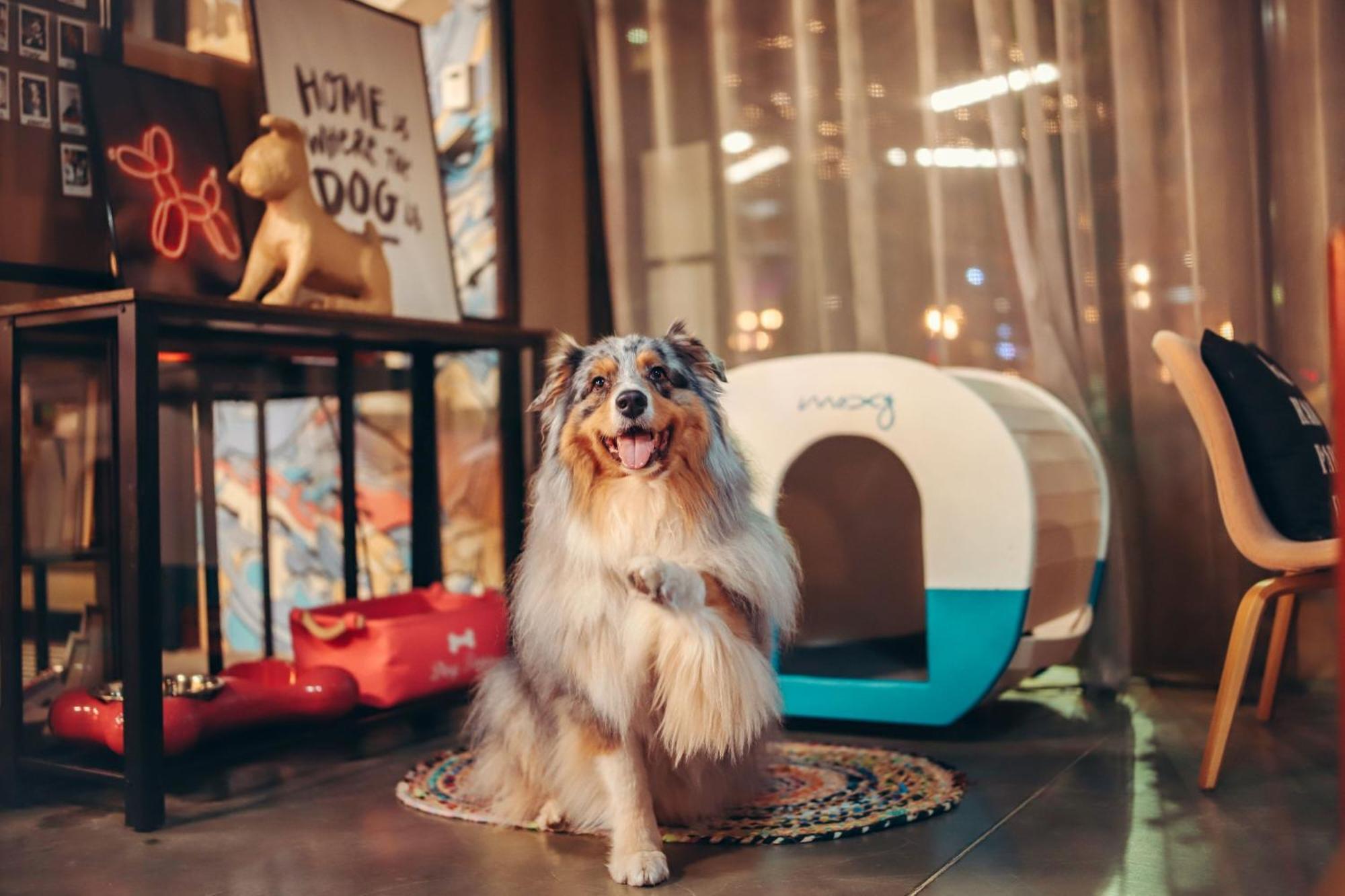 ホテル Moxy ボルドー エクステリア 写真